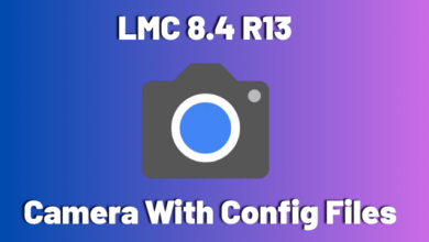 Download LMC 8.4 R13 Camera with Config Files