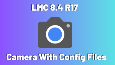 Download LMC 8.4 R17 Camera with Config Files